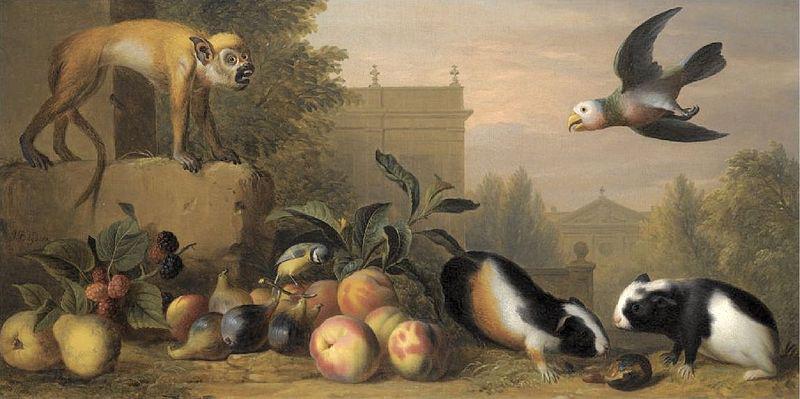 unknow artist Capuchin squirrel monkey, Spain oil painting art